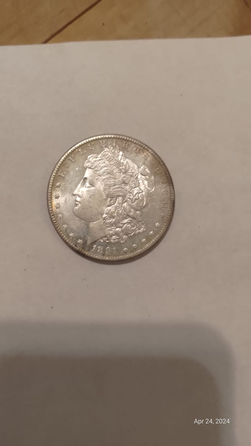 1891Silver Dollar S